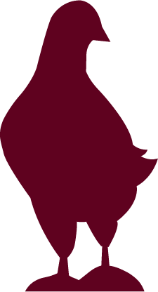 login-icon